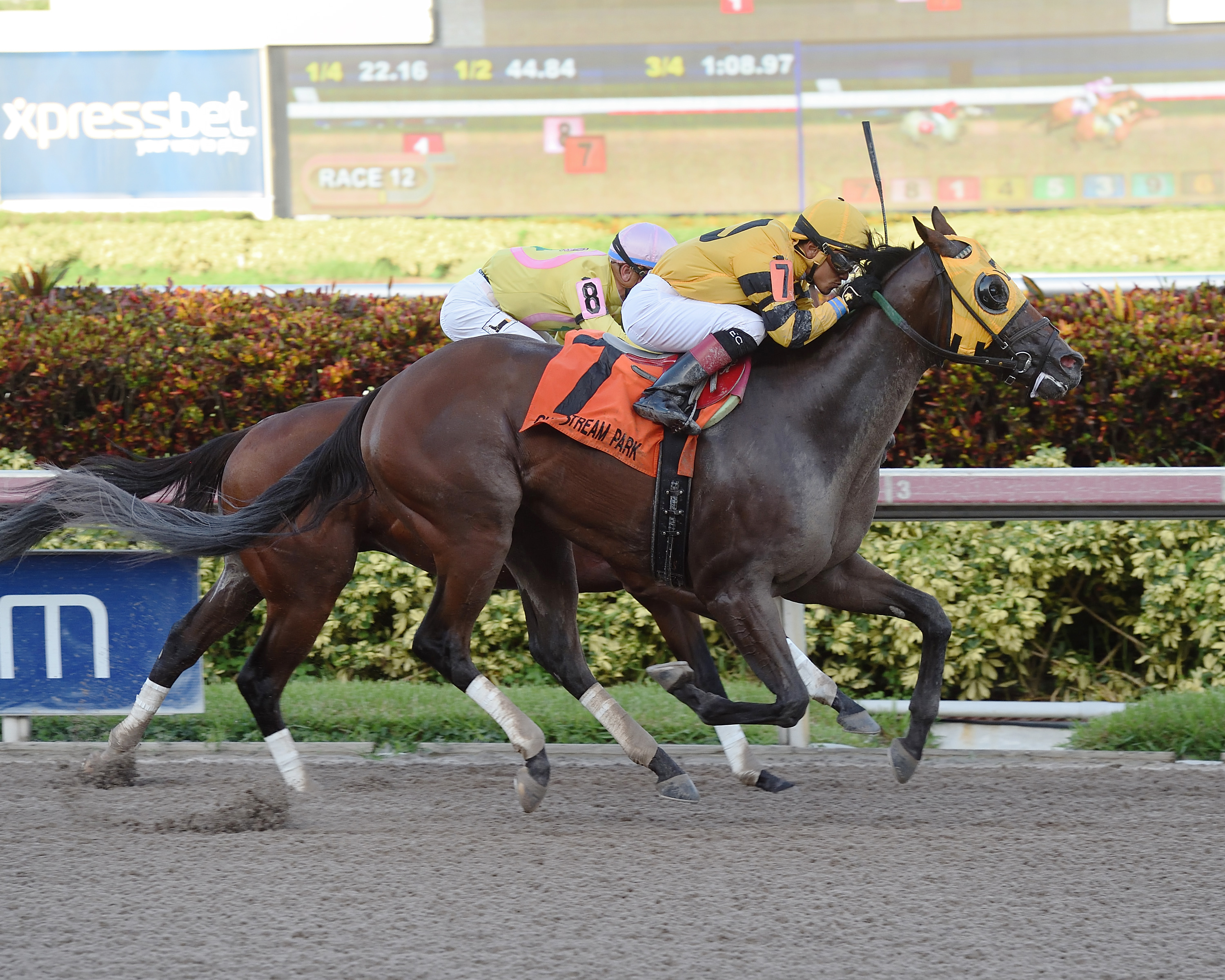 Soutache wins the 2017 Affirmed Stakes