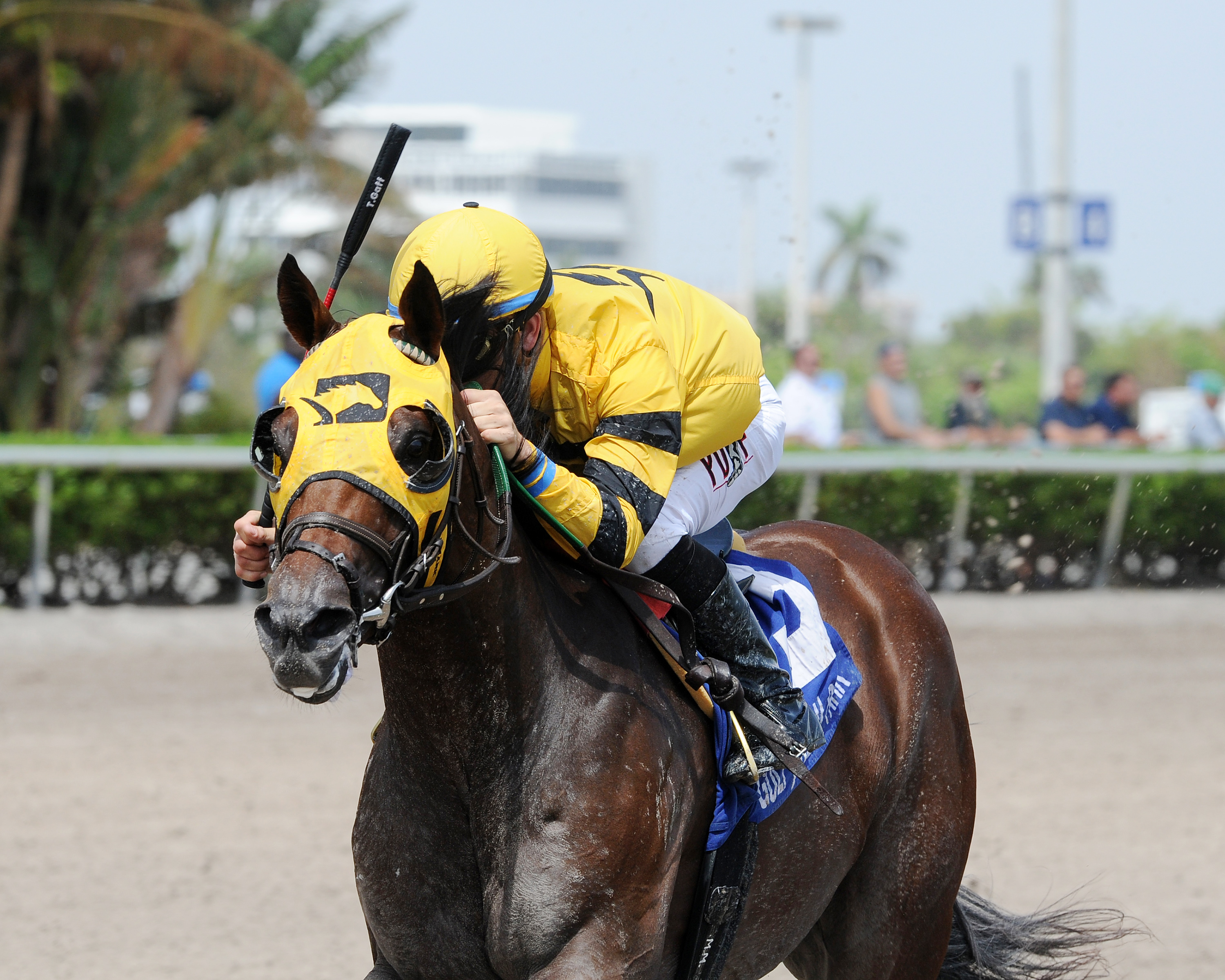 Soutache wins the 2017 In Reality Stakes