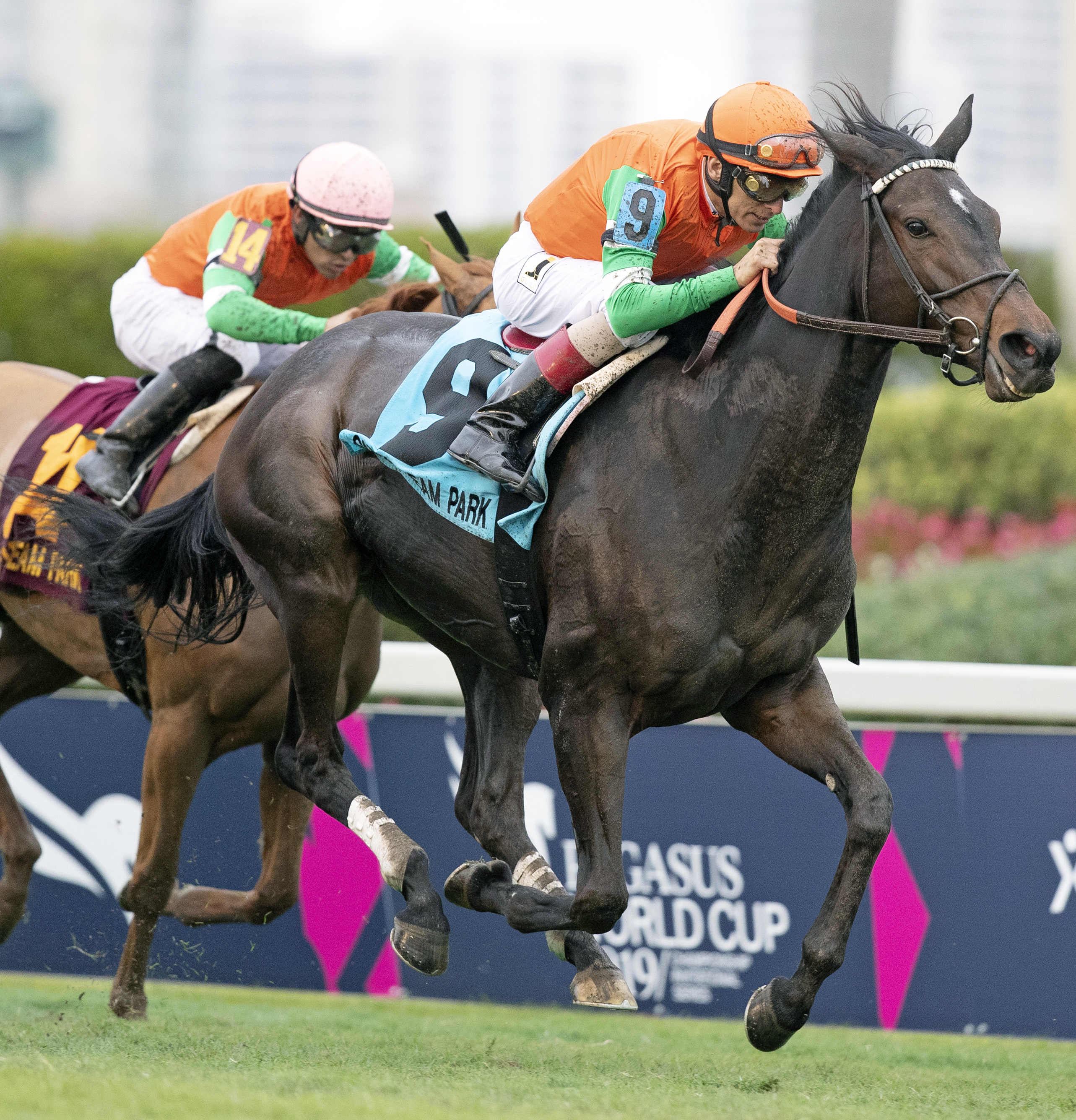 Dolce Lili wins the 2019 South Beach Stakes