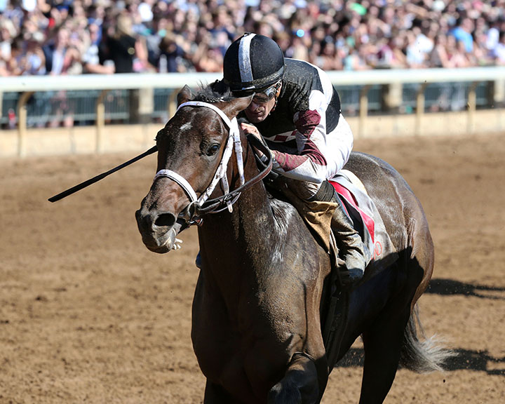 South Bend wins an Oct. 5 allowance race at Keeneland Race Course