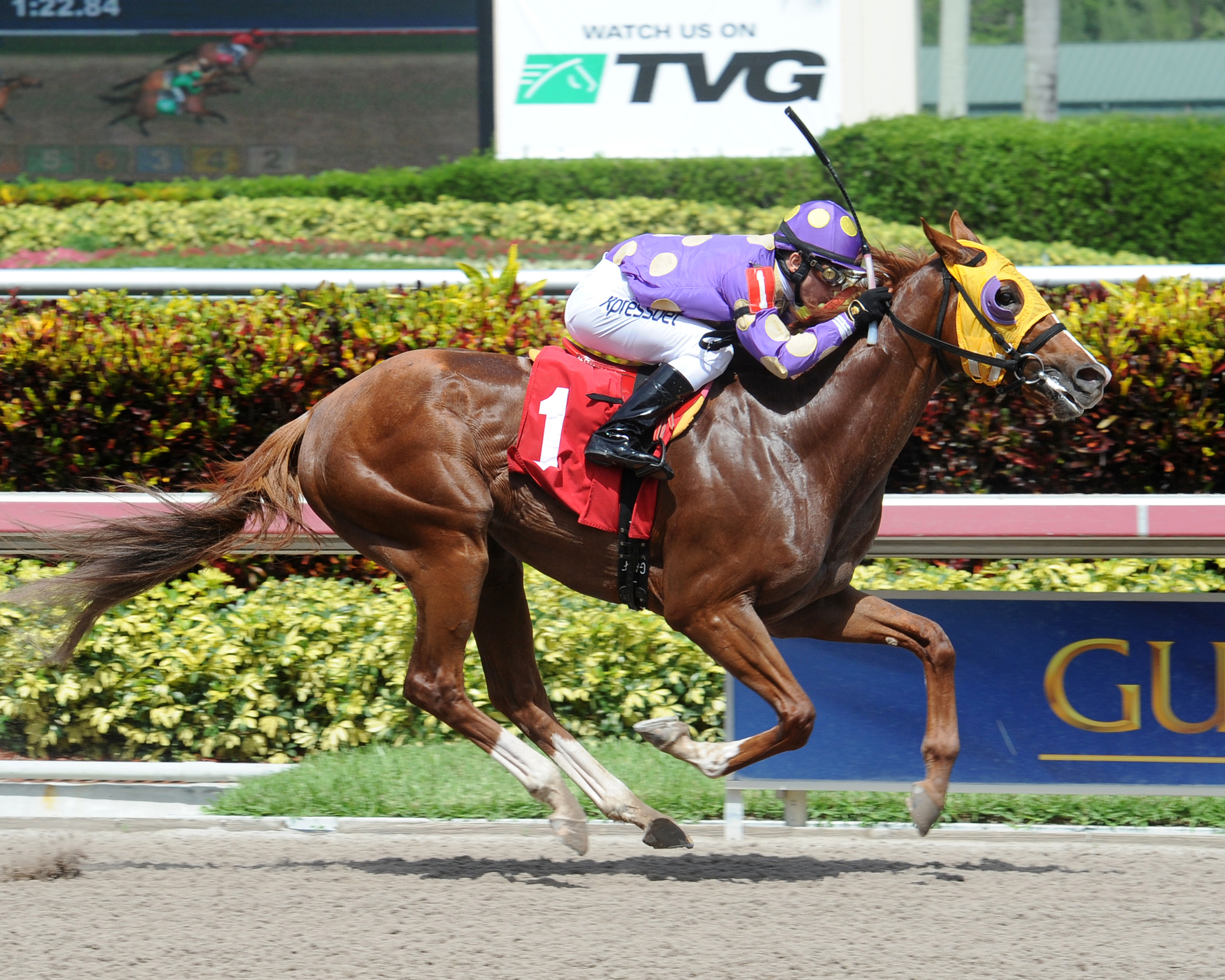 Southern Barbecue wins an allowance race