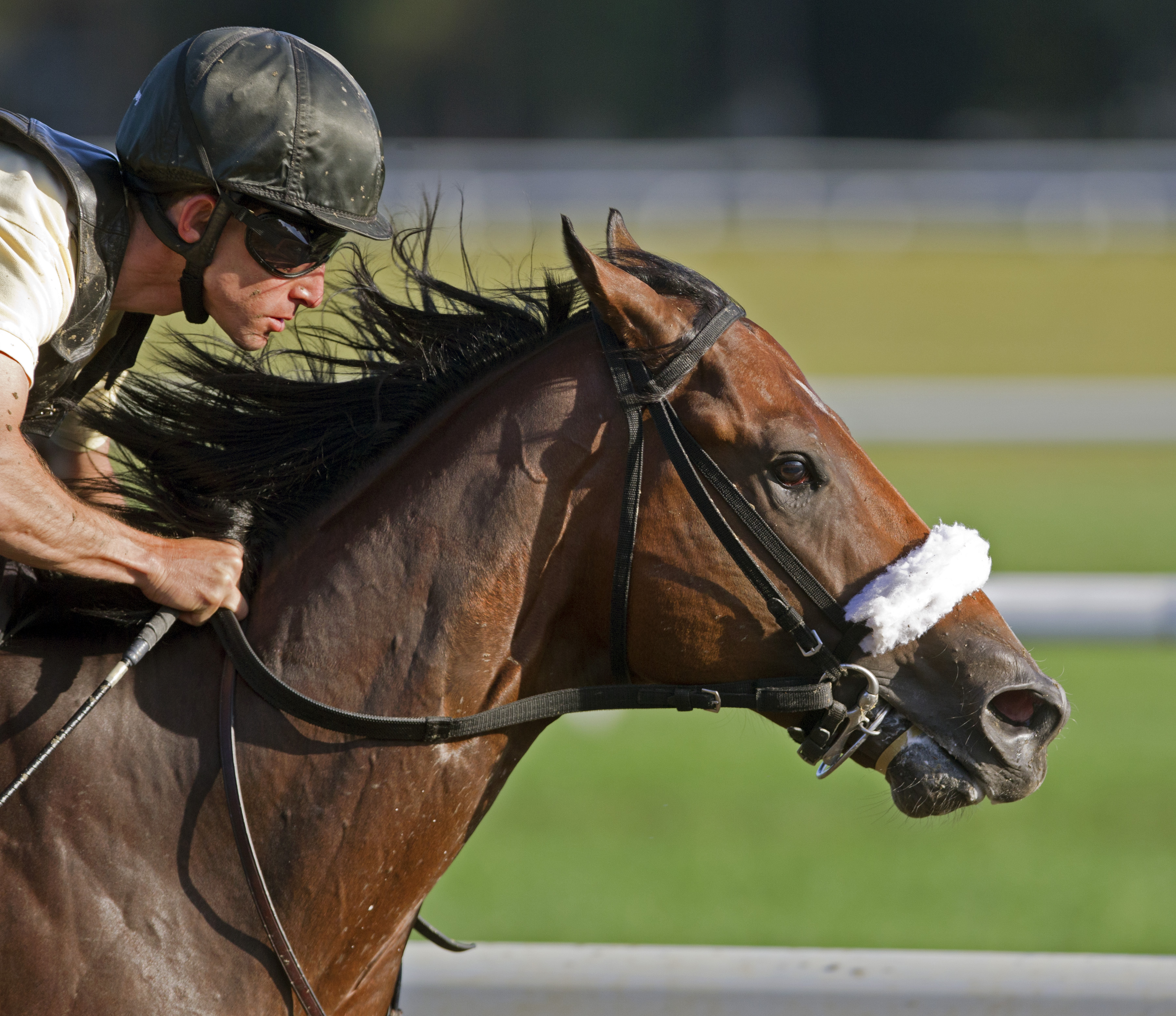 Southern Honor