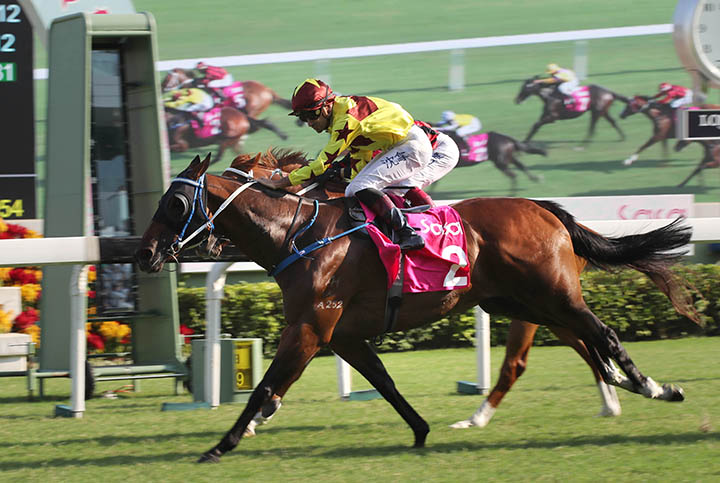 Southern Legend (No. 2) wins the 2019 Sa Sa Ladies' Purse at Sha Tin Racecourse