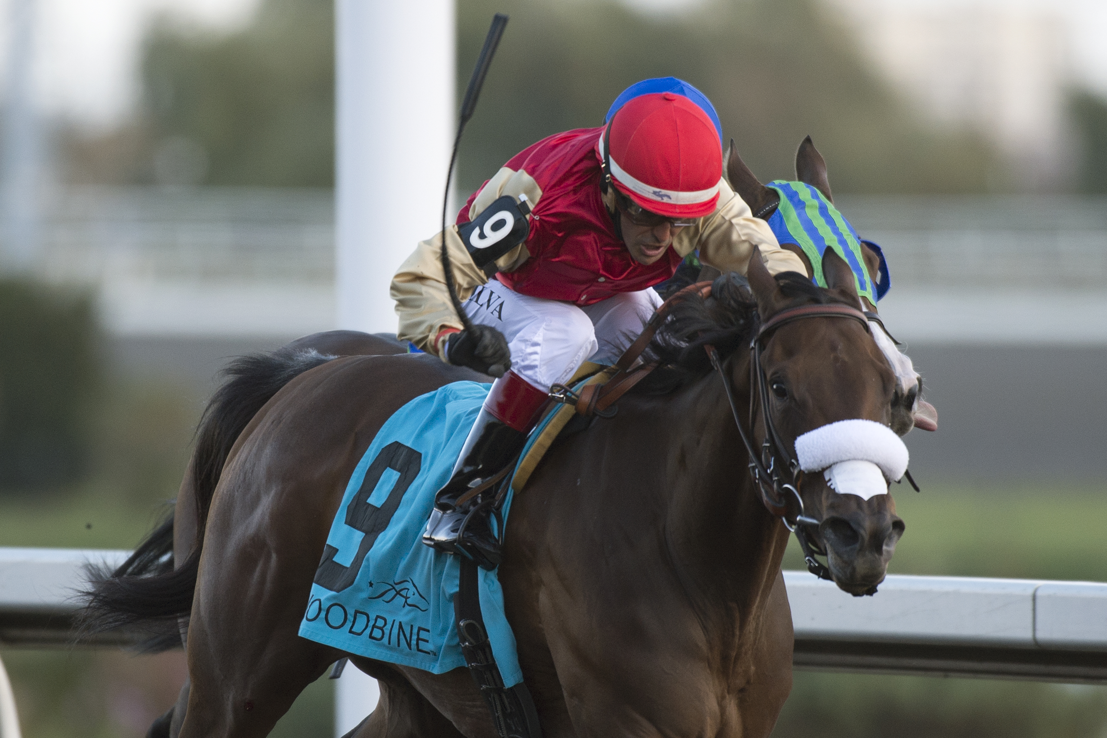 Southern Ring 10-17-2015