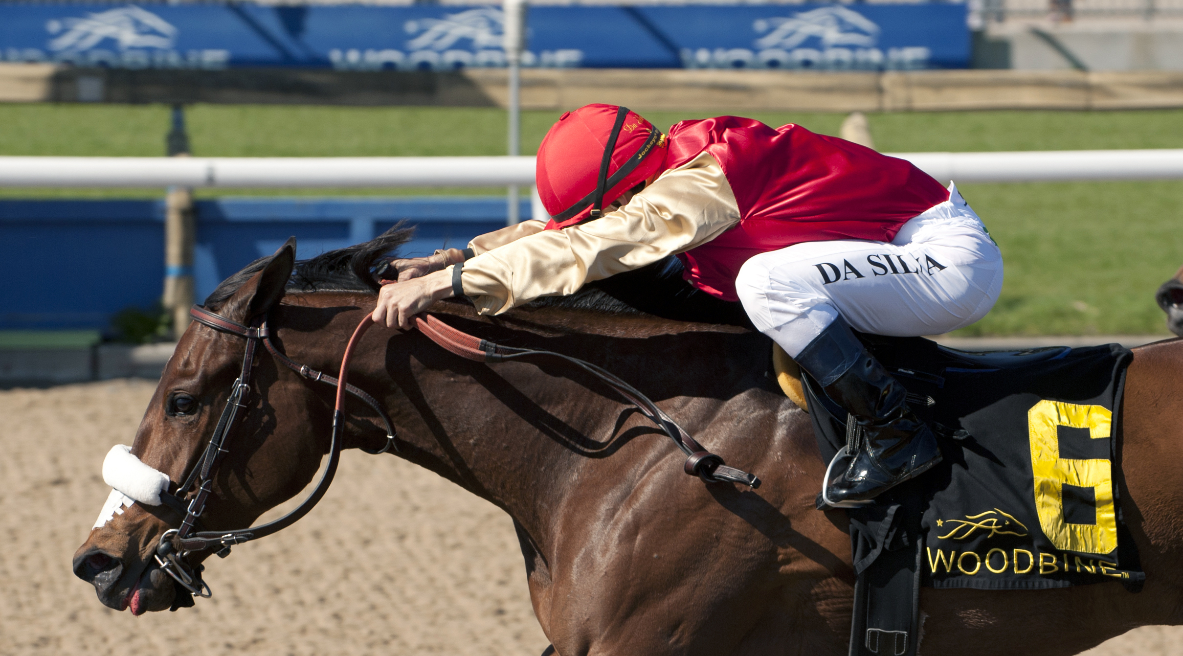 Southern Ring wins the Whimsical Stakes