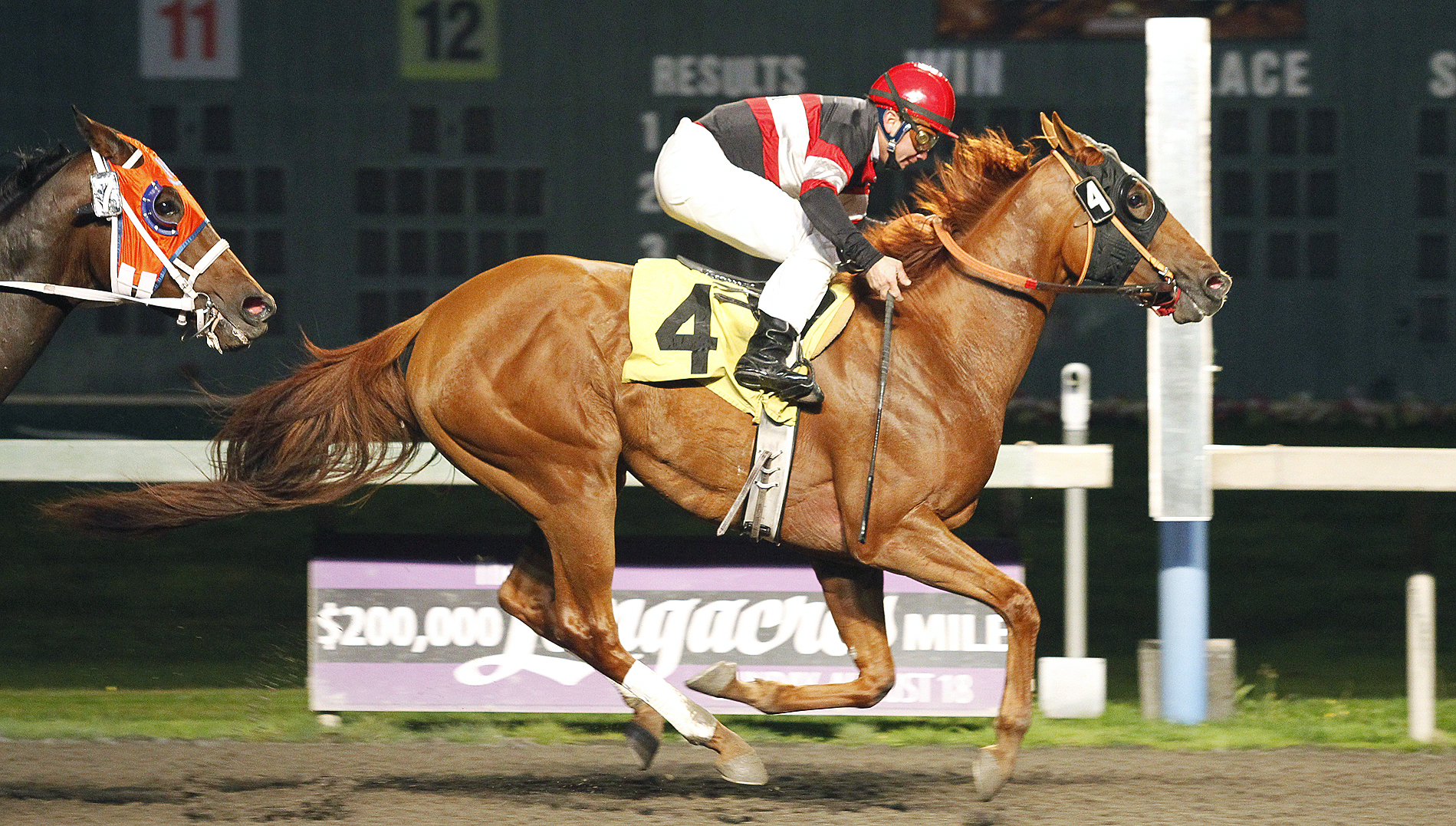 Southern Solution wins an allowance