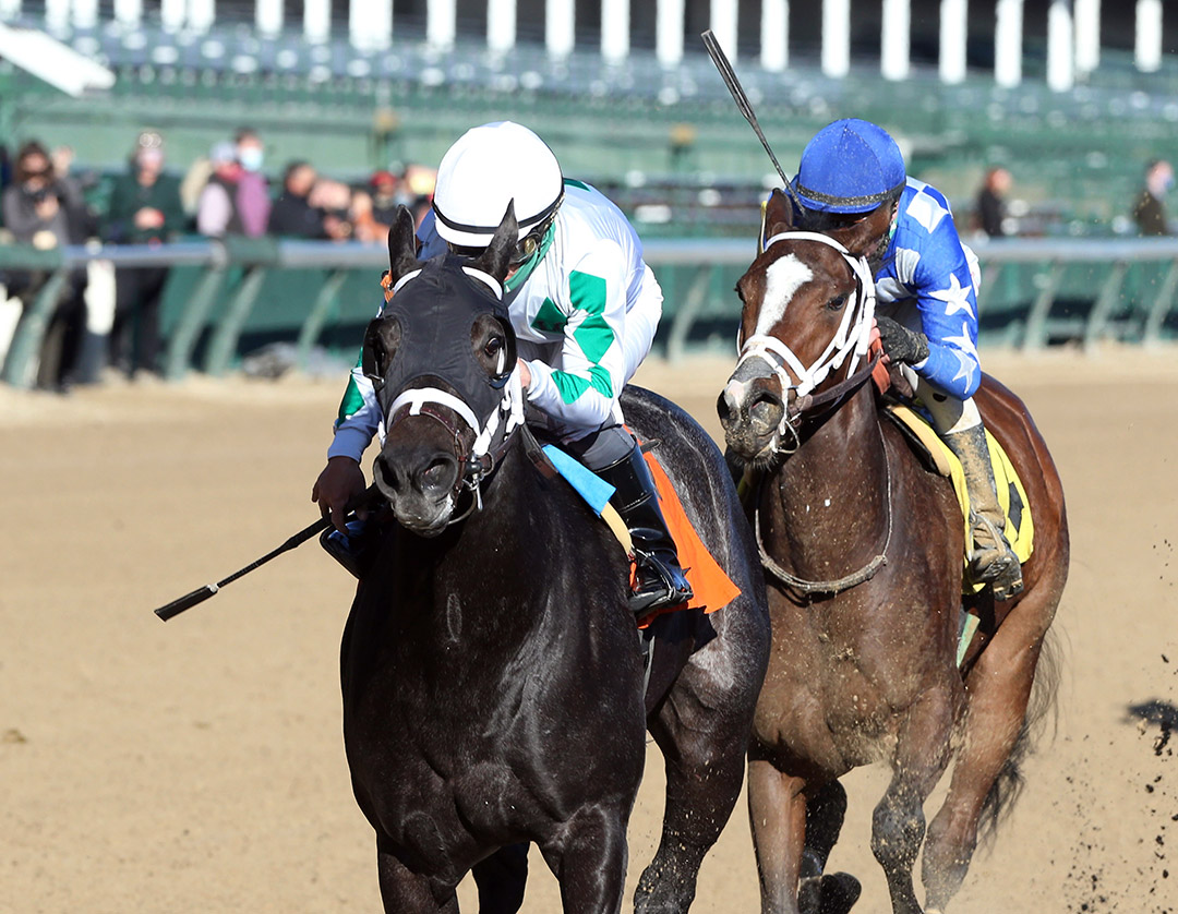 Southern Grayce wins a November 2020 maiden race at Churchill Downs