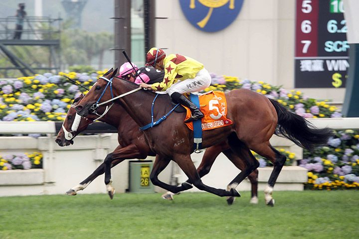 Southern Legend (No. 5) wins the 2020 Champions Mile at Sha Tin