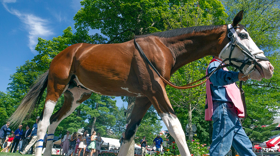 Southern Phantom at Saratoga Race Course in July 2018