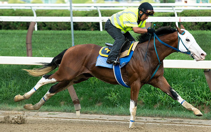Southern Phantom trains at Saratoga Race Course in August 2018