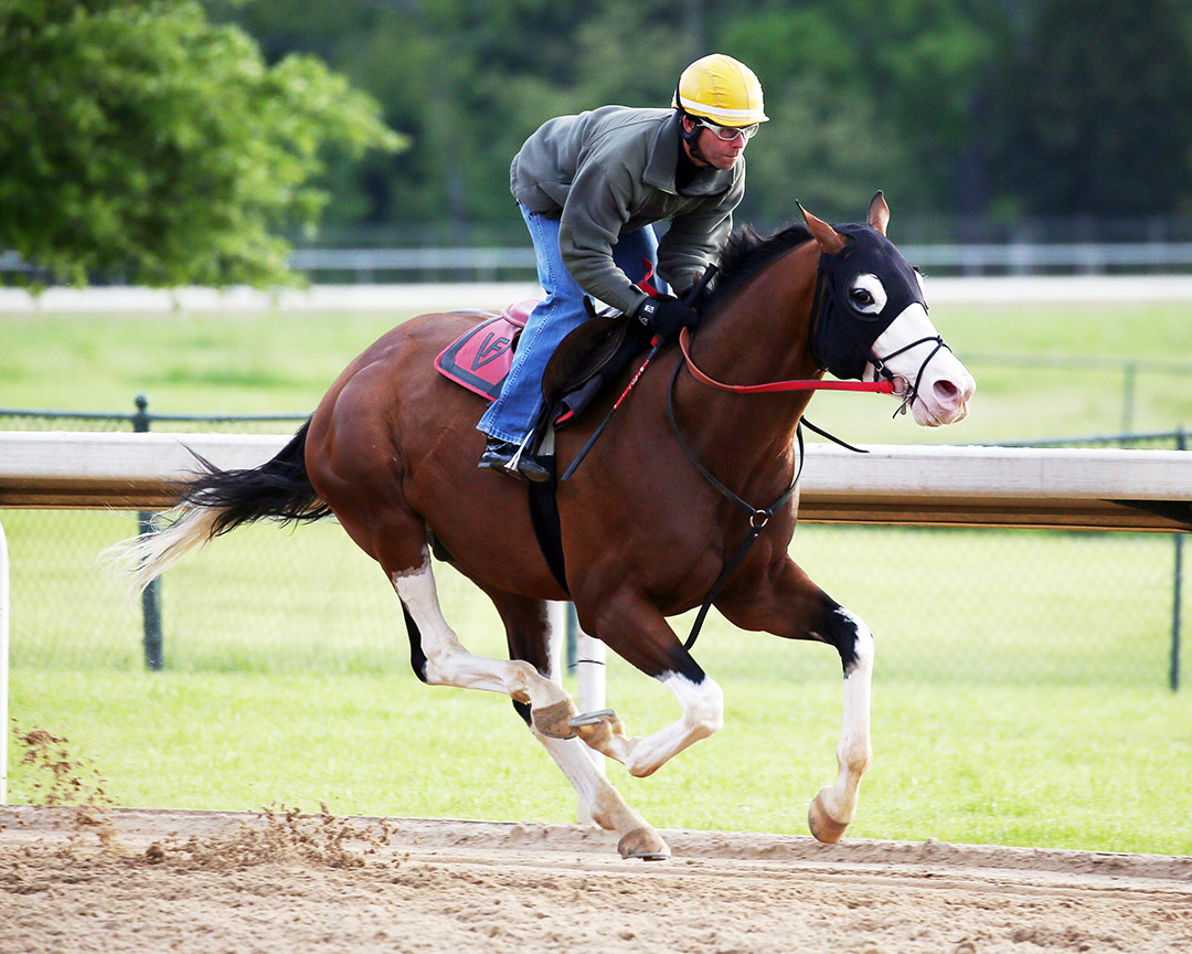 Southern Phantom trains at Oaklawn Park in April 2020