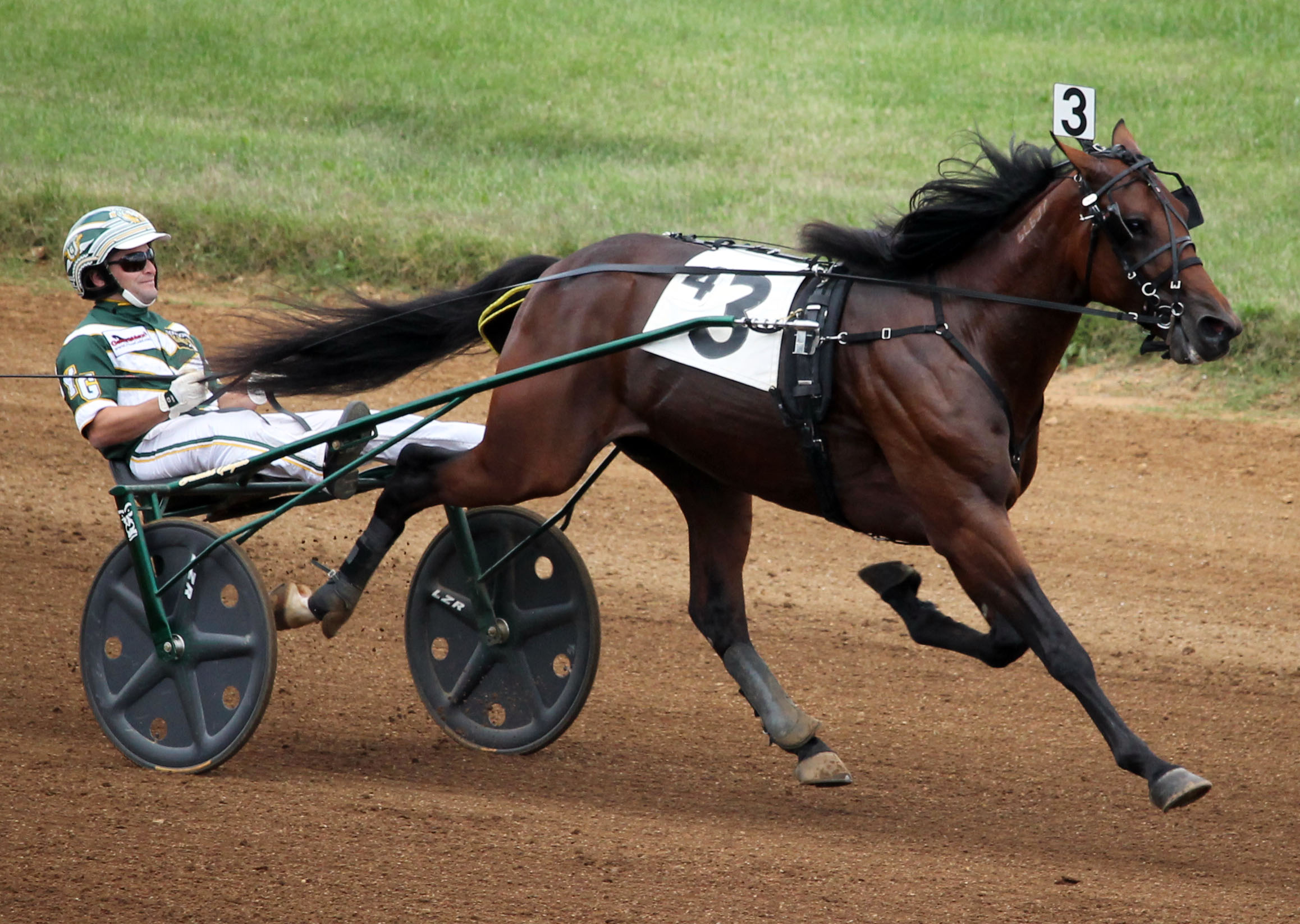 Southwind Frank