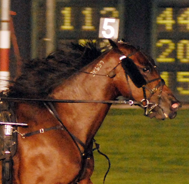 Southwind Roulette