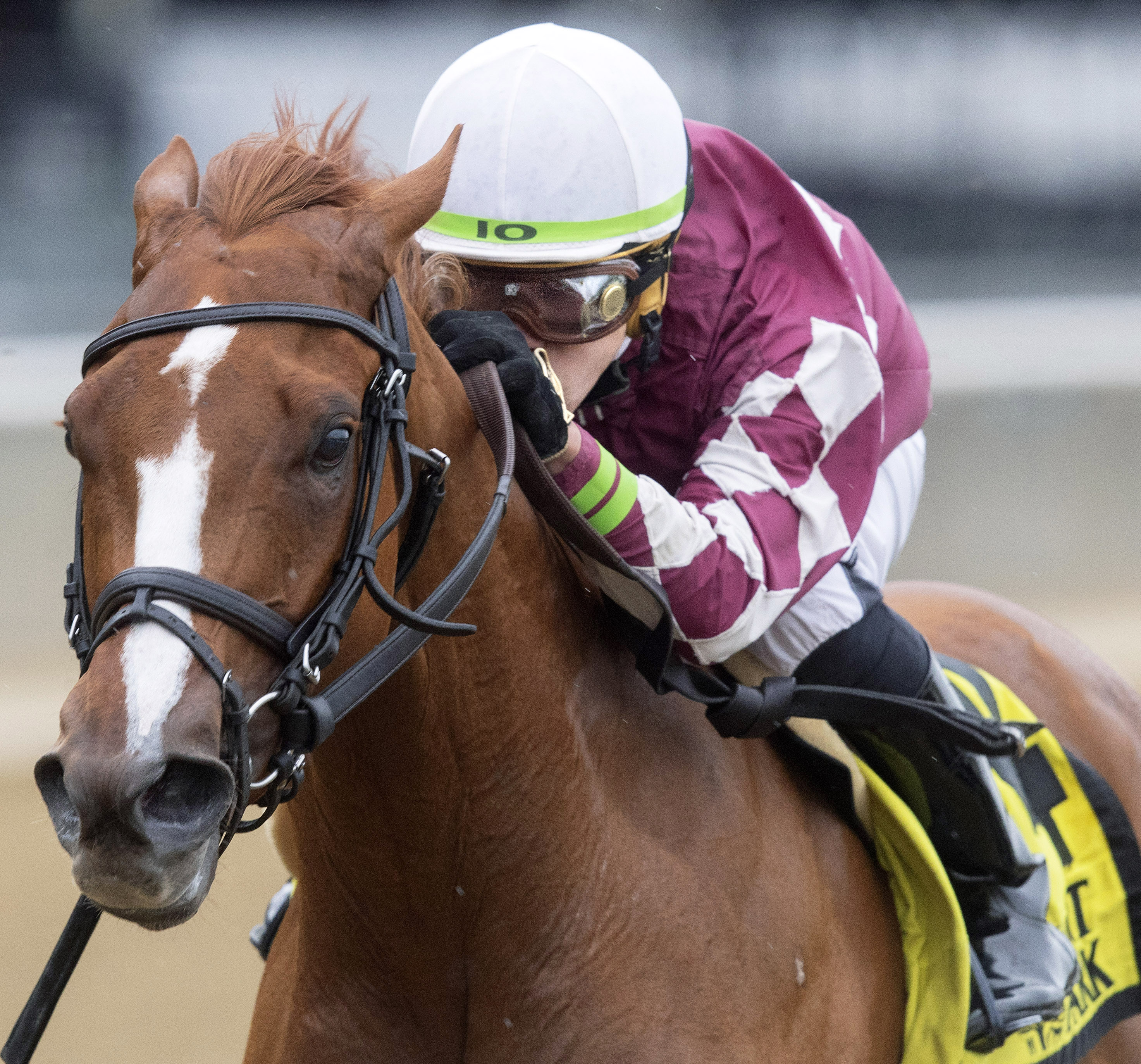 Sower wins the 2018 Jersey Girl