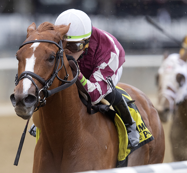 Sower wins the 2018 Jersey Girl Stakes