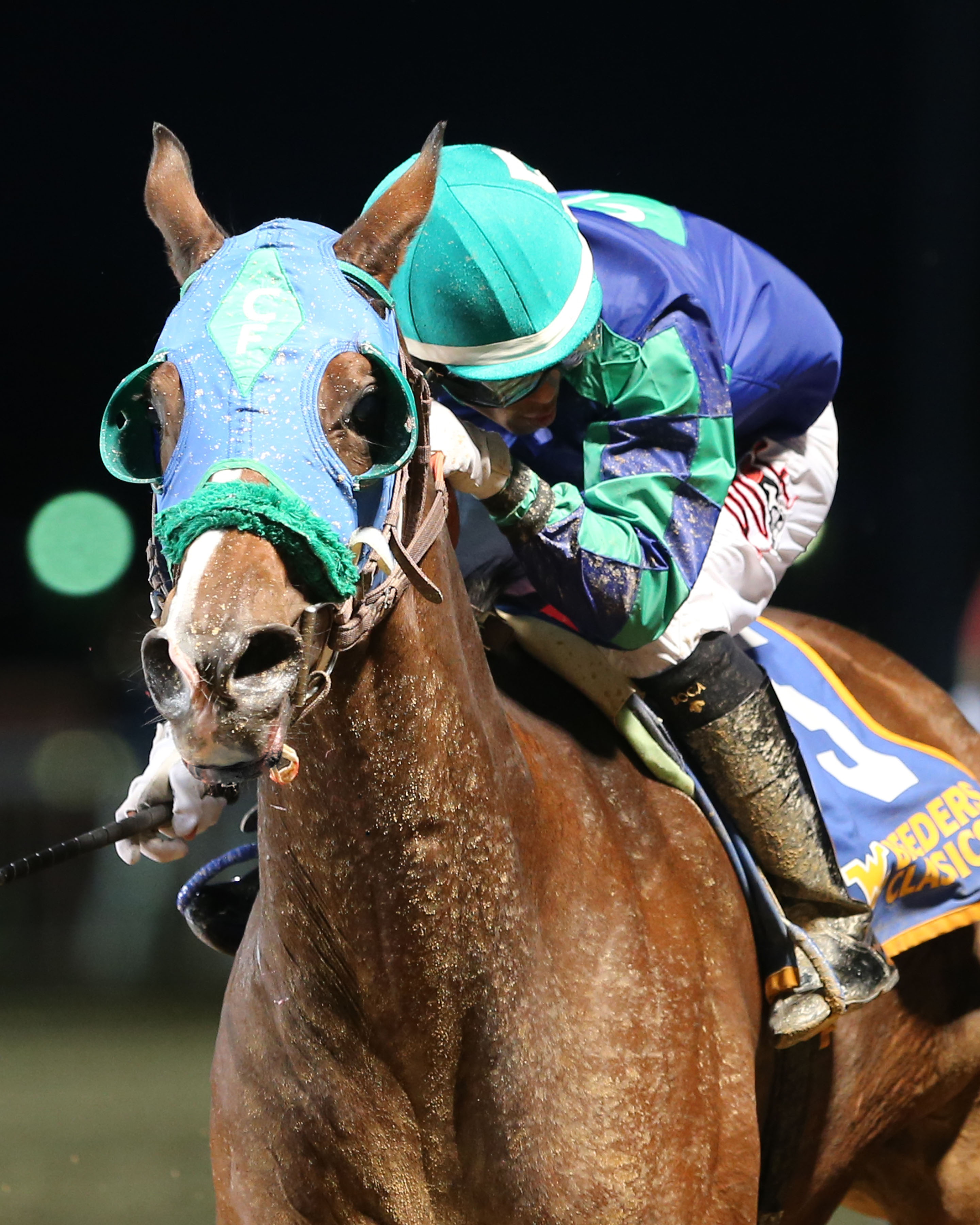 Spa Creek wins the West Virginia Breeders Classic Distaff