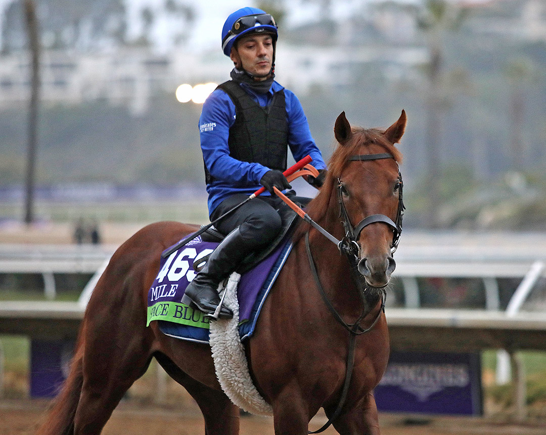 Space Blues at Del Mar on Nov. 2