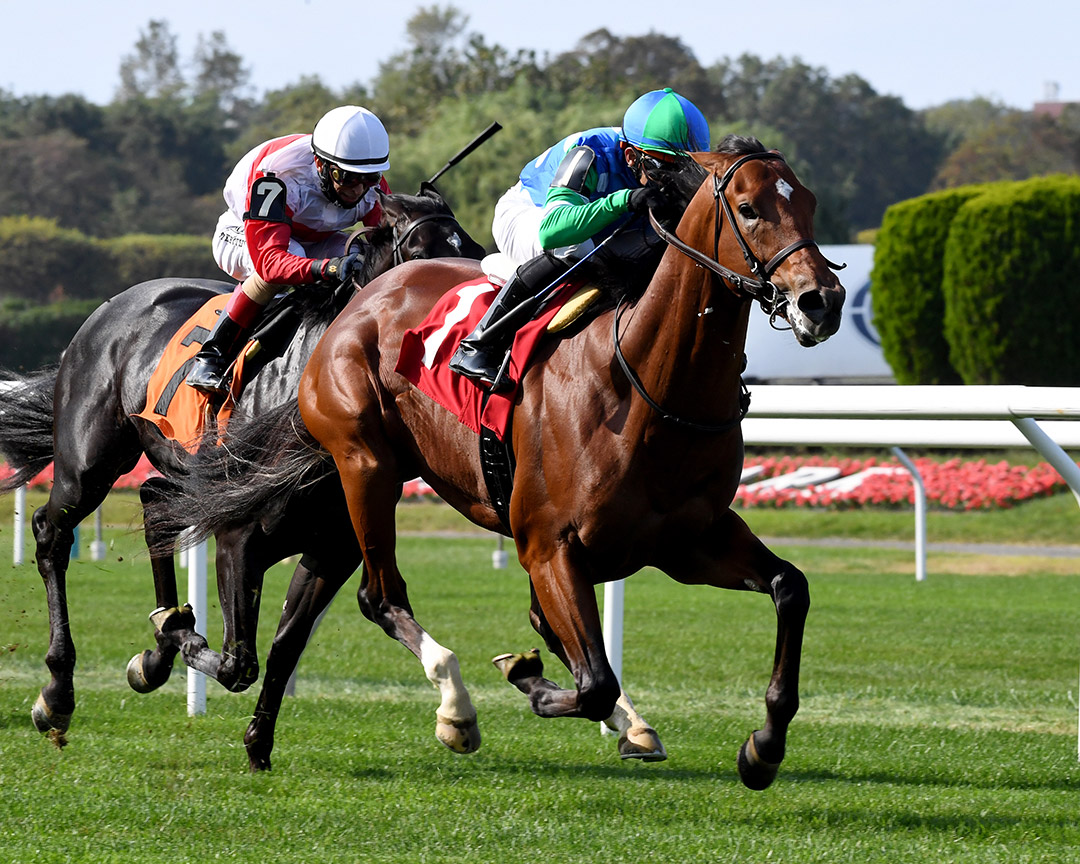 Space Launch wins a September 2020 maiden race at Belmont Park