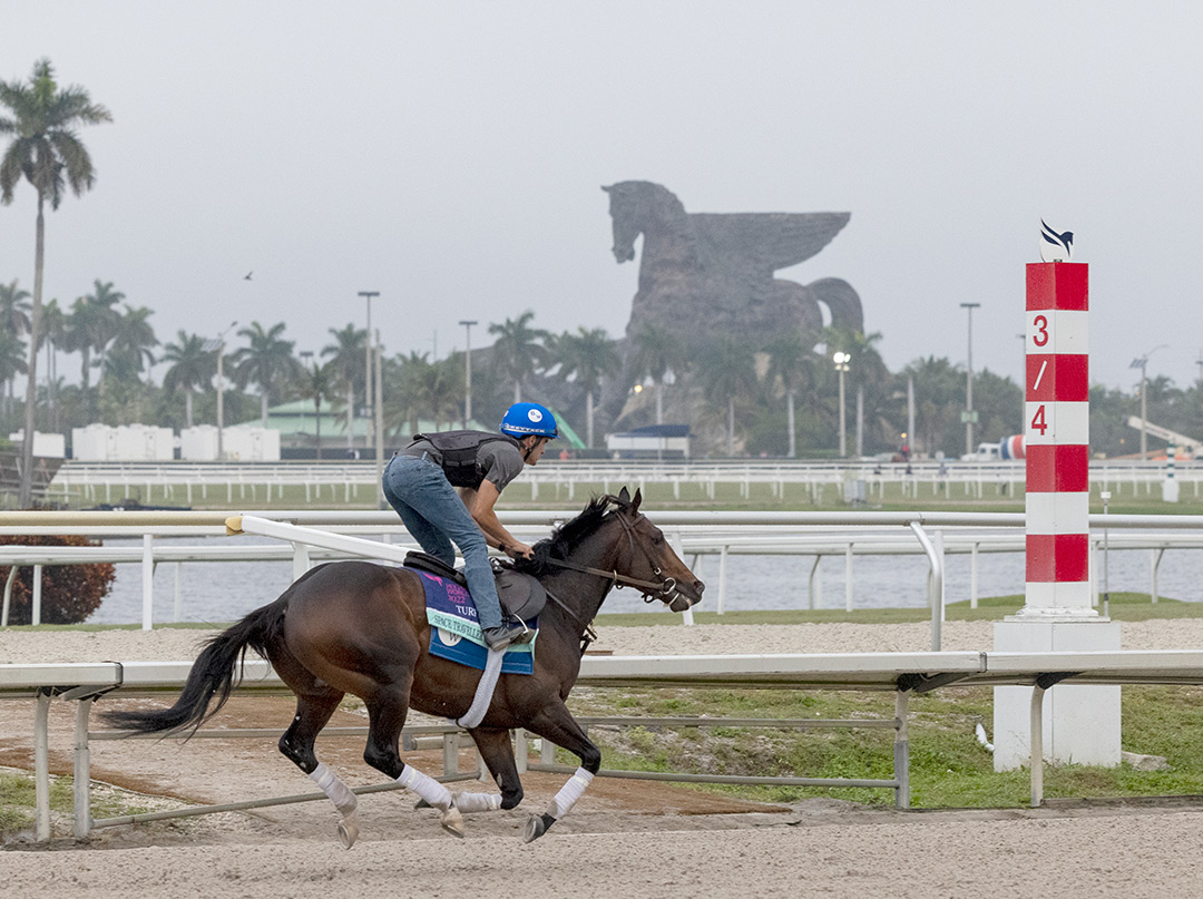 Space Traveller trains at Gulfstream on Jan. 27