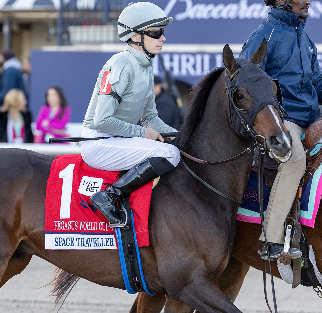 Space Traveller at the Pegasus World Cup Turf at Gulfstream Park