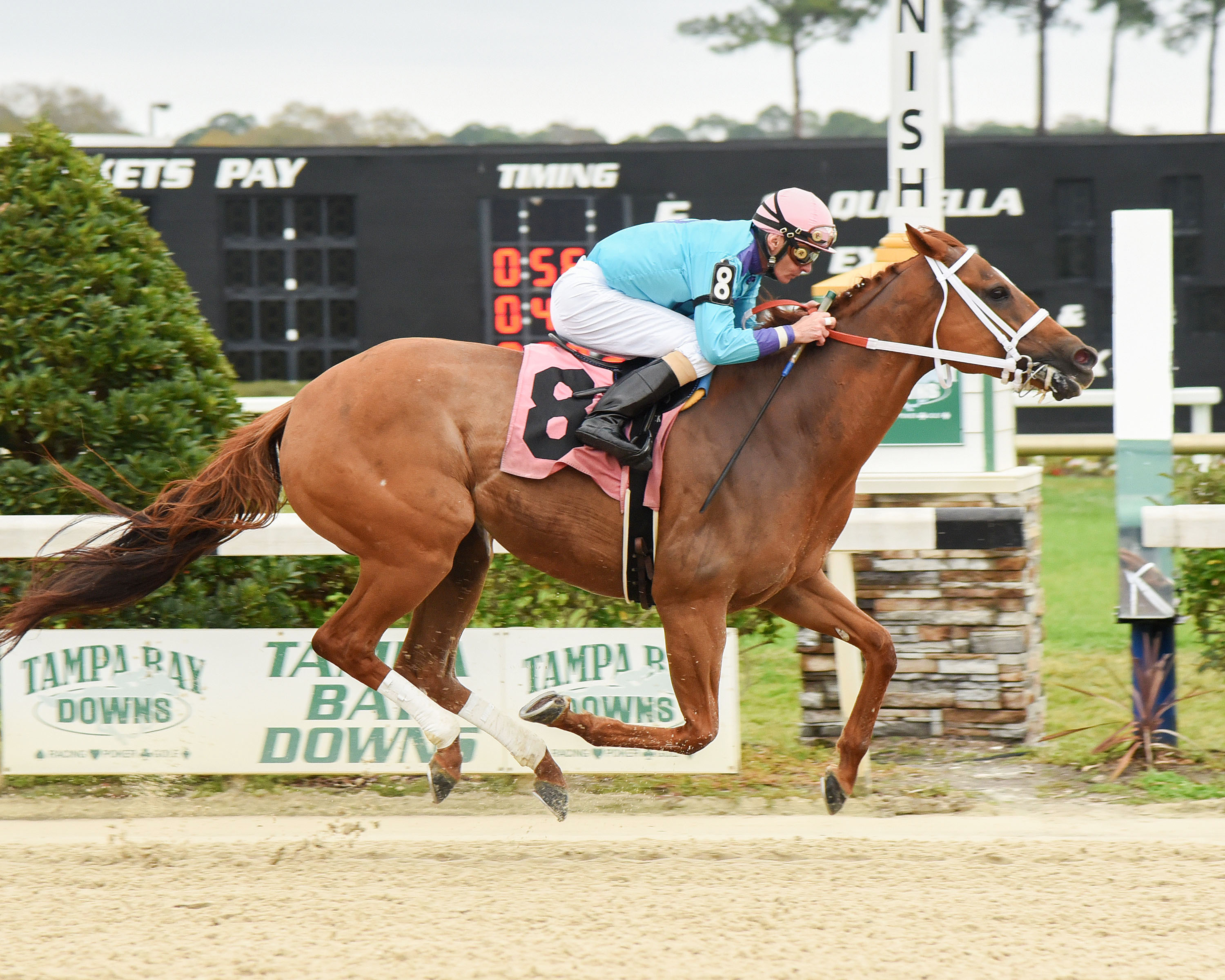 Spanish Concert wins the Minaret Stakes