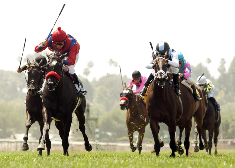 Spanish Queen wins 2015 American Oaks