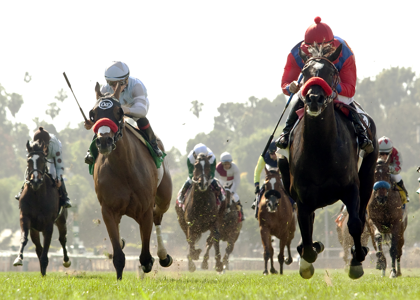 Spanish Queen wins the Honeymoon Stakes