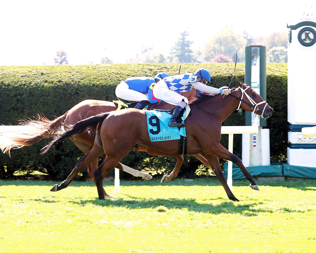 Spanish Kingdom wins an October 2020 allowance at Keeneland Racecourse