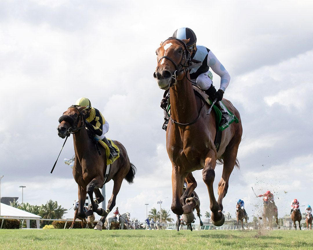 Spanish Loveaffair wins the 2020 Sharp Susan Stakes at Gulfstream Park