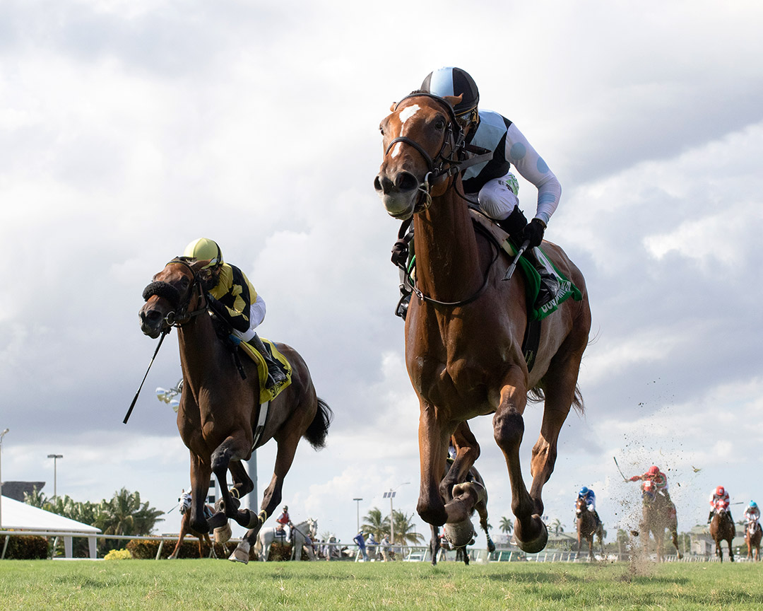 Spanish Loveaffair wins the 2020 Sharp Susan Stakes at Gulfstream