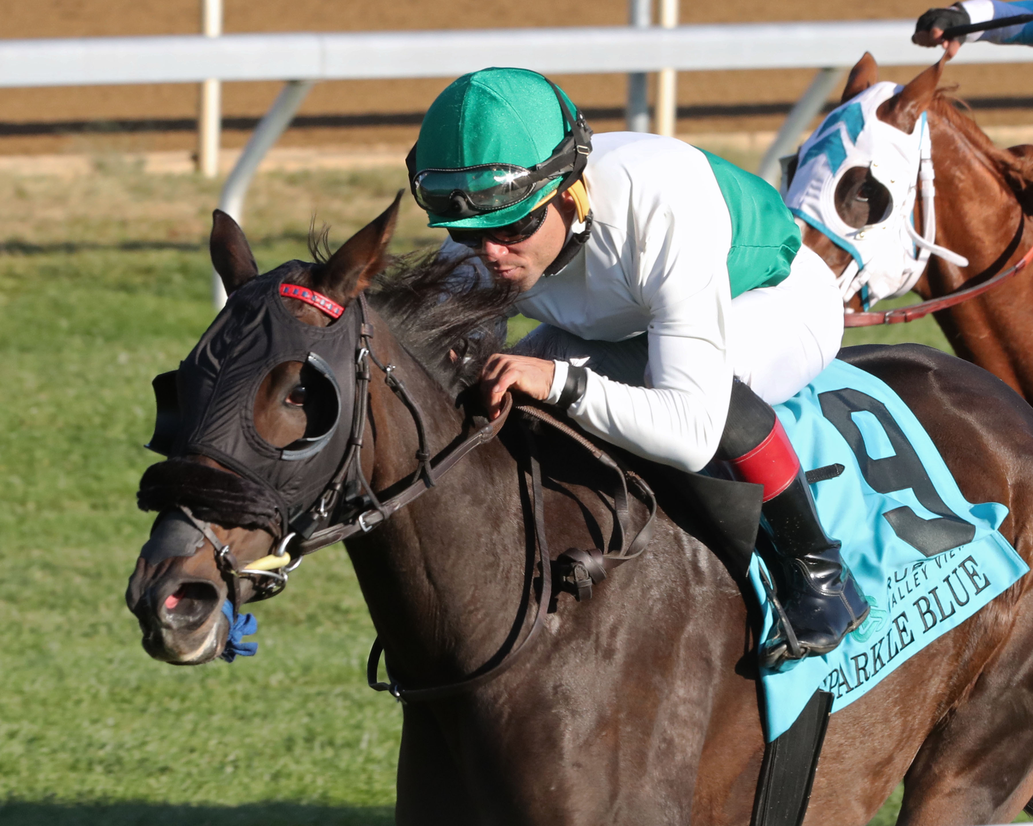 Sparkle Blue - Valley View S. 2022