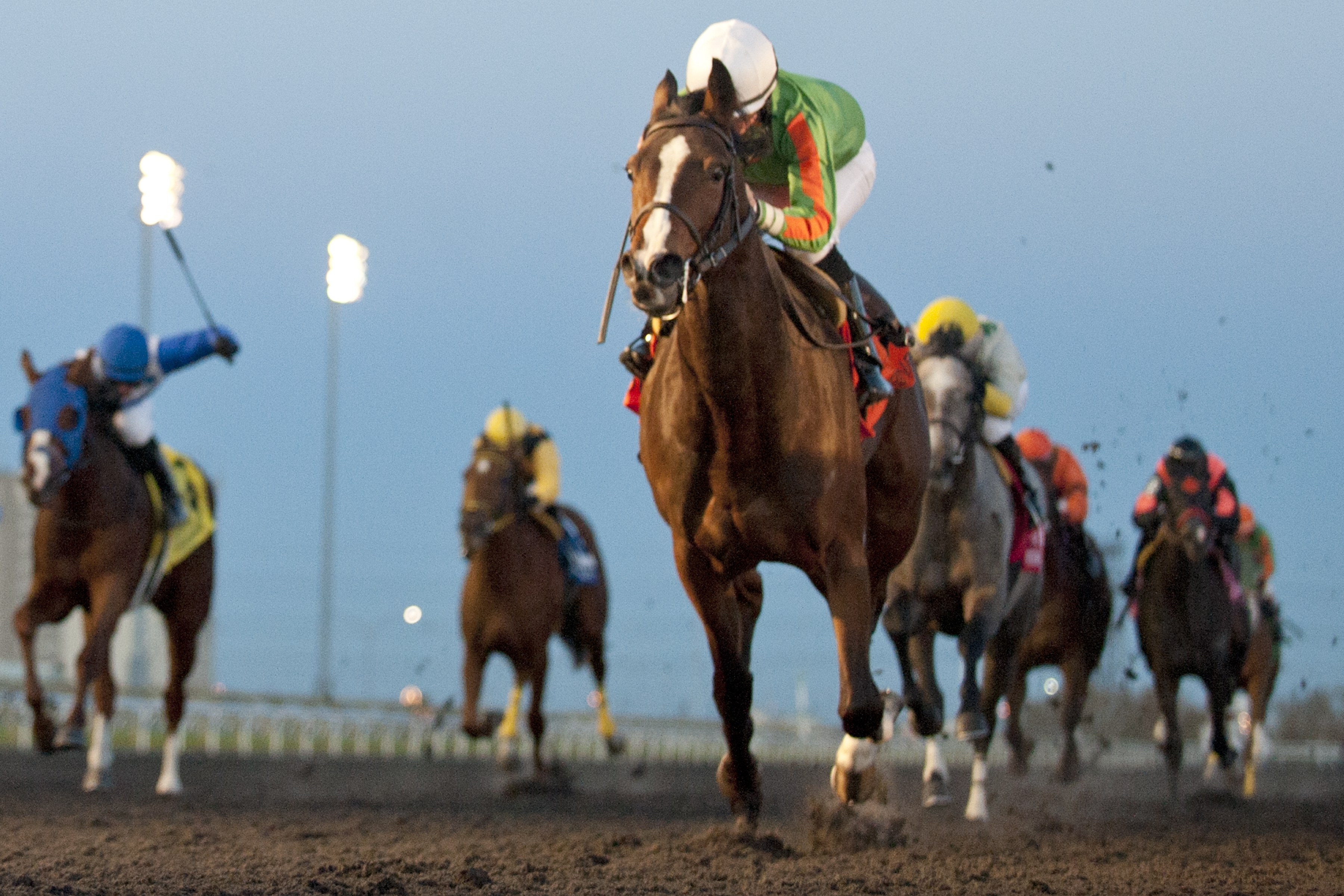 Sparkles' Girl wins 2015 Ontario Lassie