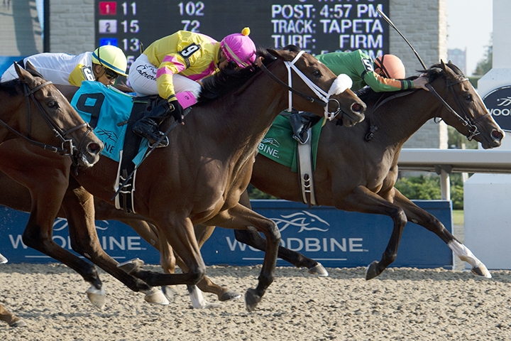 Sparkles Girl wins the 2017 Classy n Smart