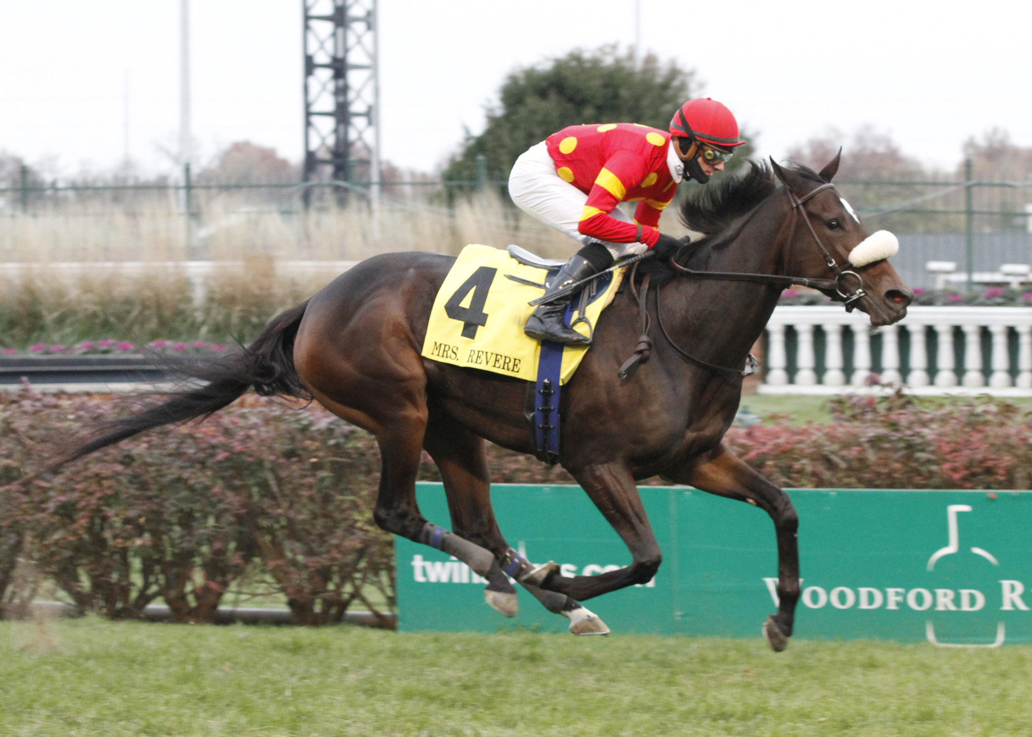 Sparkling Review wins the Mrs. Revere