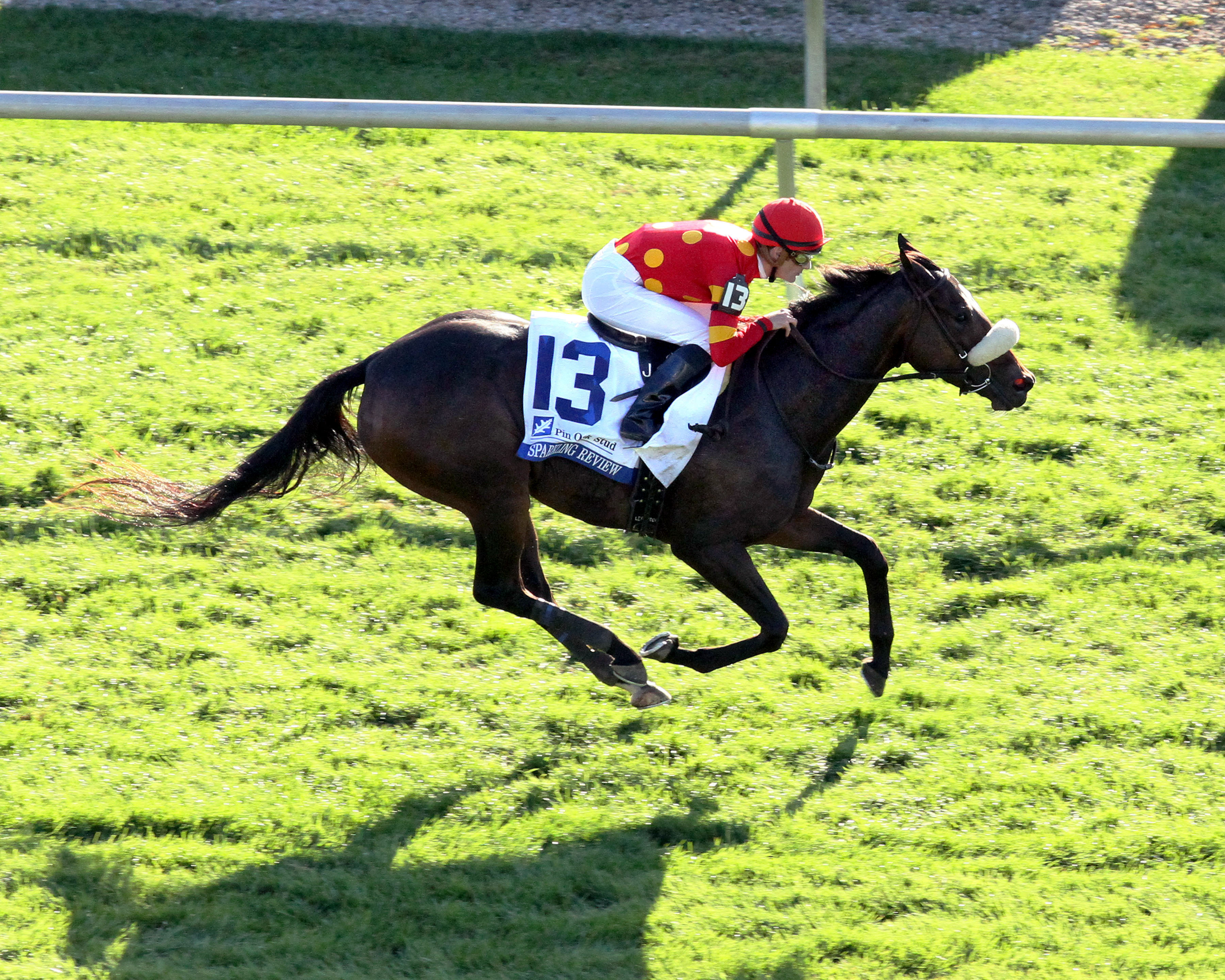 Sparkling Review wins the Pin Oak Valley View