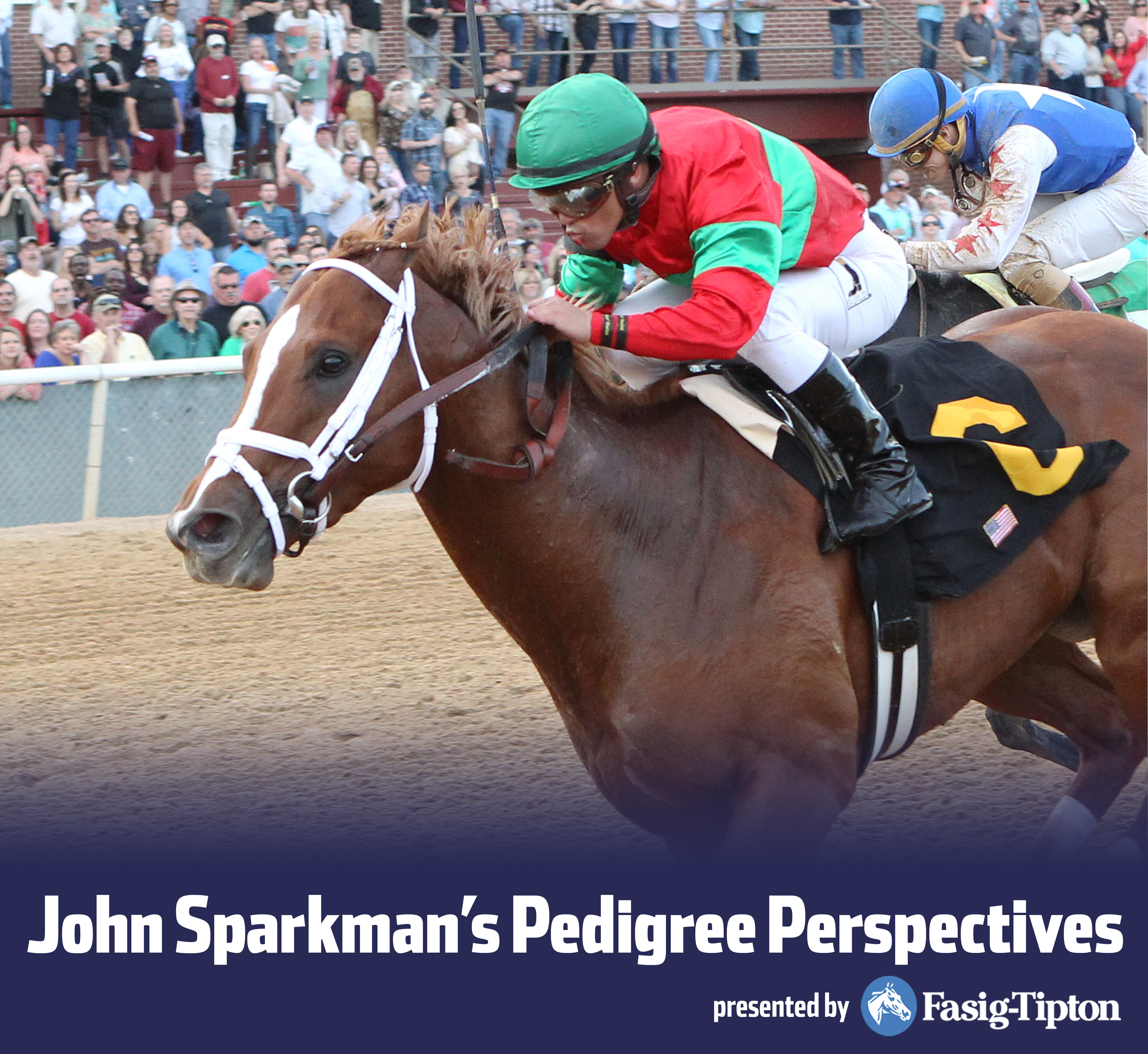 Sparkman - Malagacy photo