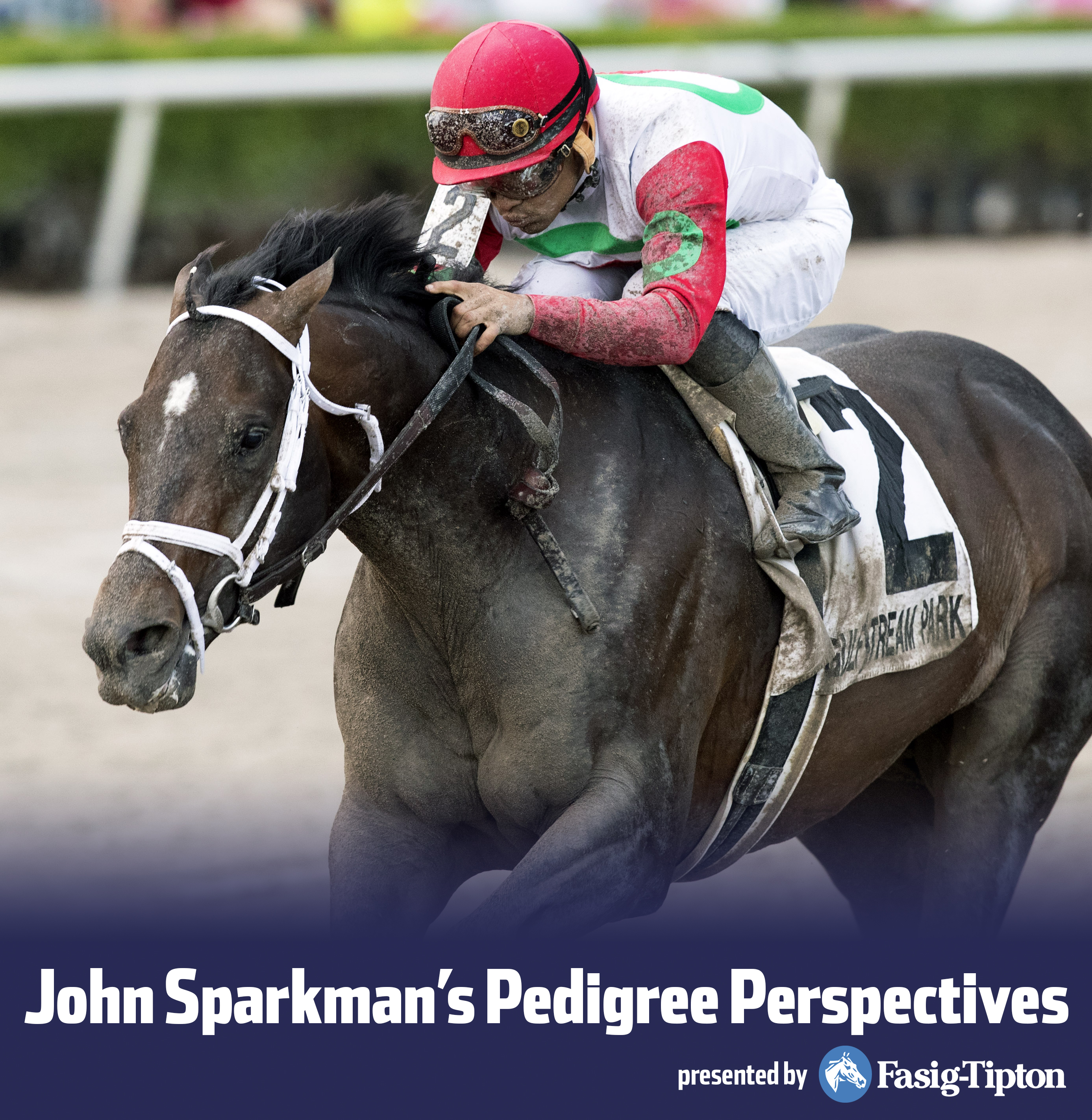 Sparkman_Tommy Macho photo