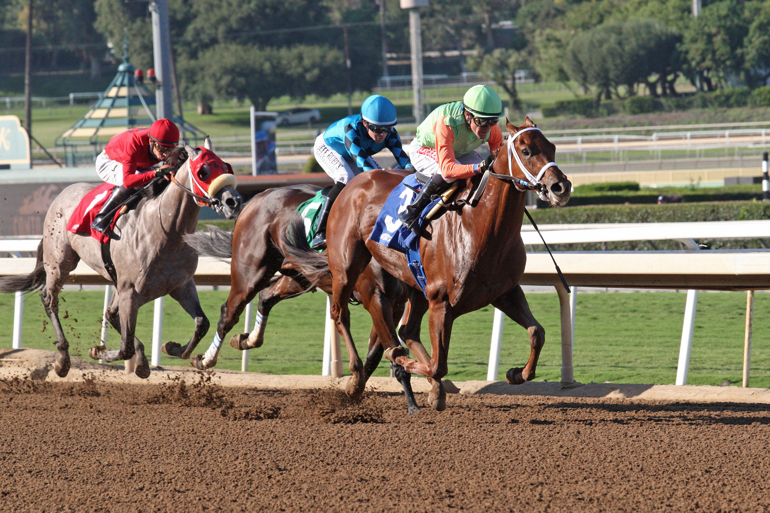 Sparky Ville wins 2018 Sunny Slope Stakes (Shig)