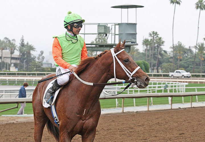 Sparky Ville at Santa Anita on May 11