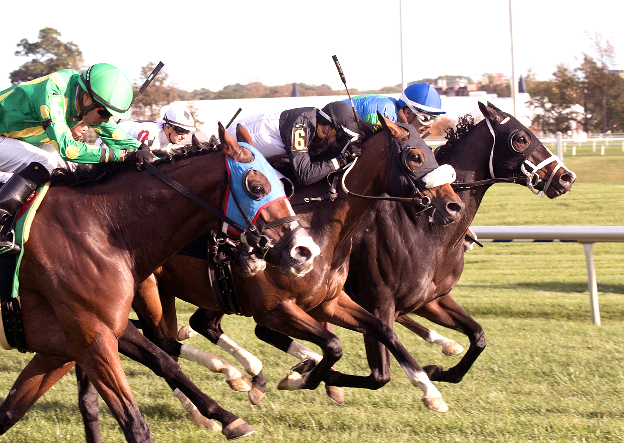 Spartianos wins the 2017 Maryland Million Turf