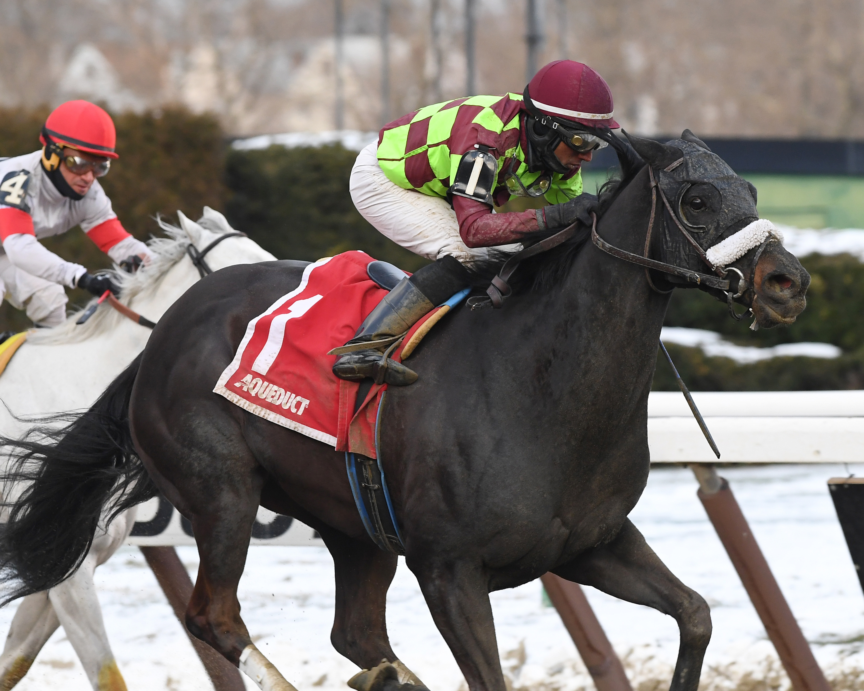 Spartiatis wins the Tom Fool Handicap