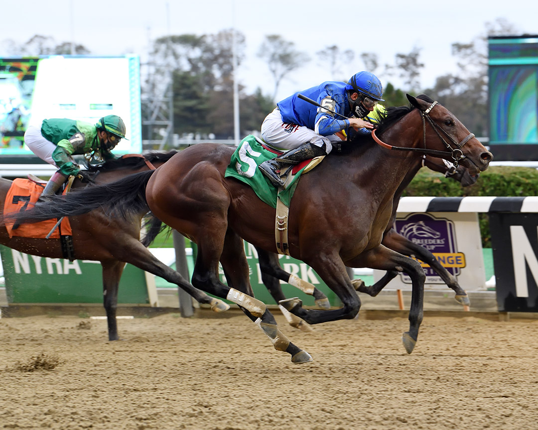 Speaker's Corner (5) wins an October 2020 maiden race at Belmont Park