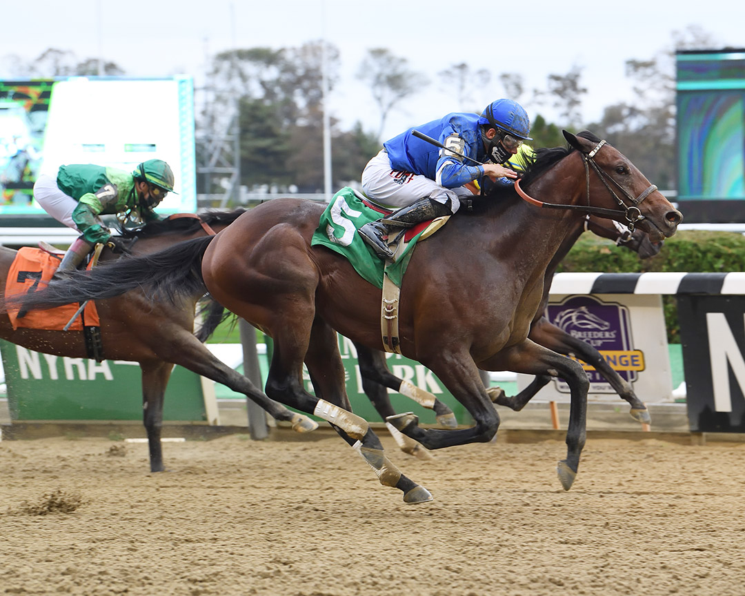 Speaker's Corner (5) wins an Oct. 11 maiden race at Belmont Park