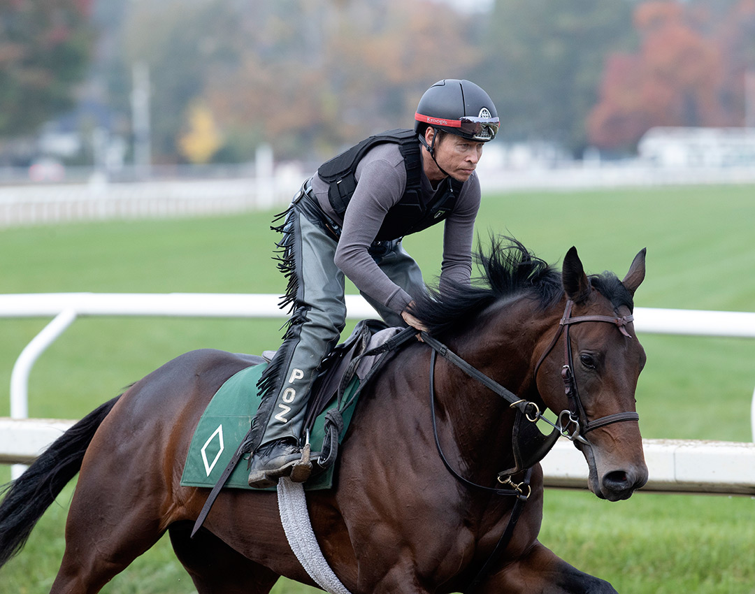 Speaker's Corner trains at Saratoga on Oct. 14