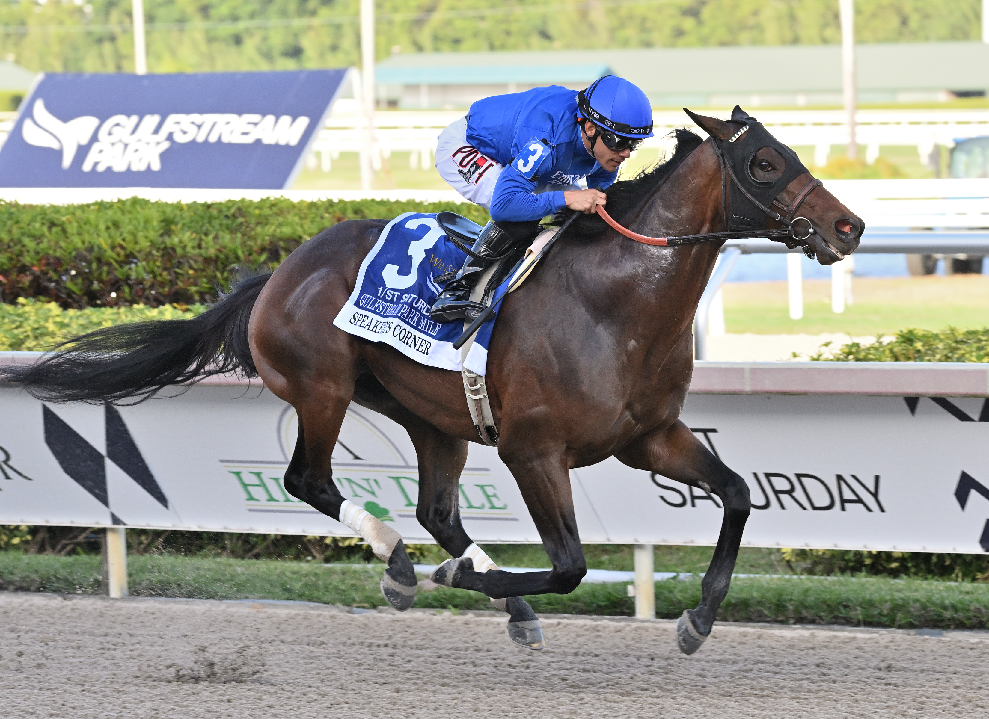 Speaker's Corner/Gulfstream Mile