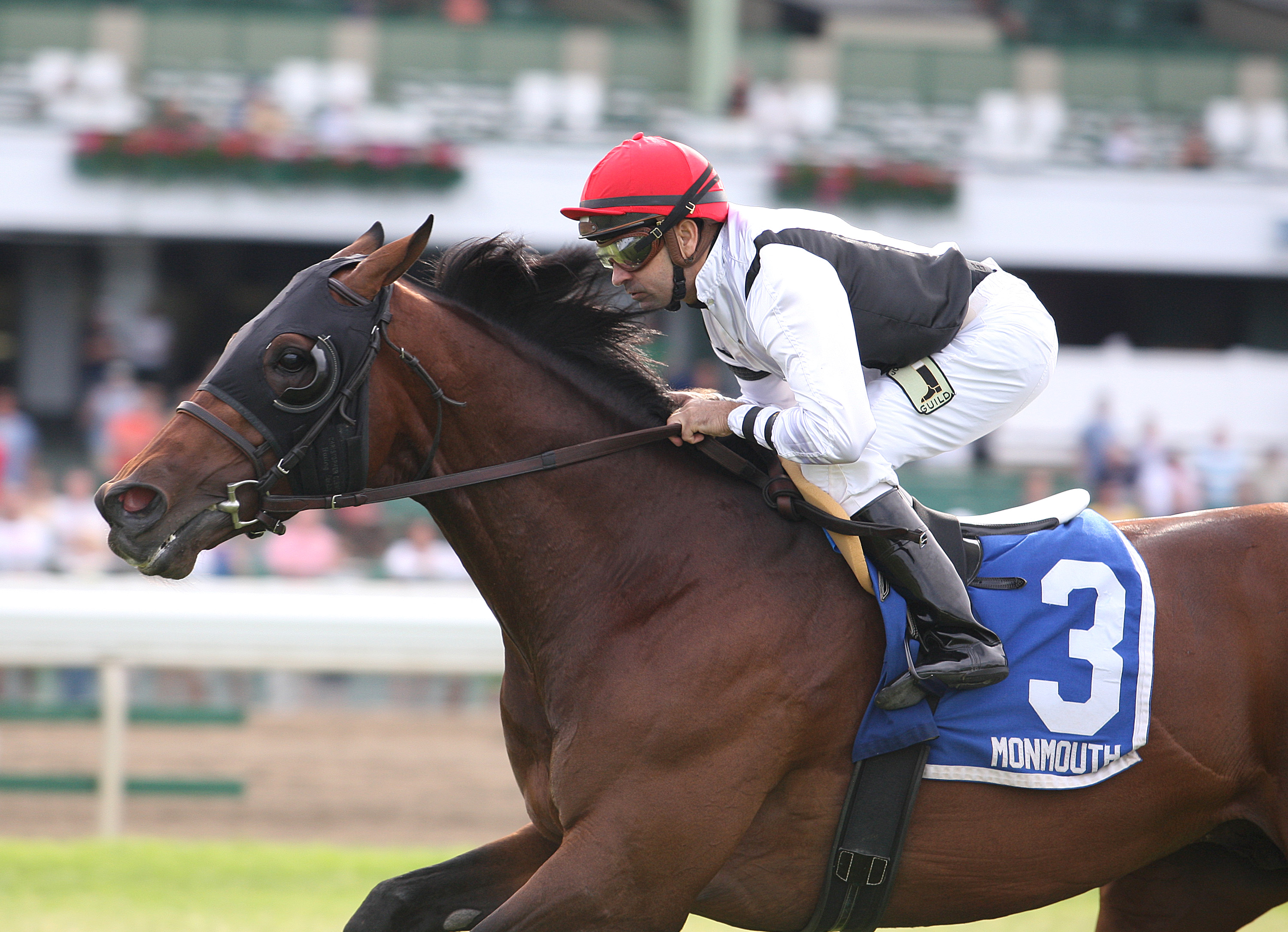 Speaking of Which wins 2014 Monmouth