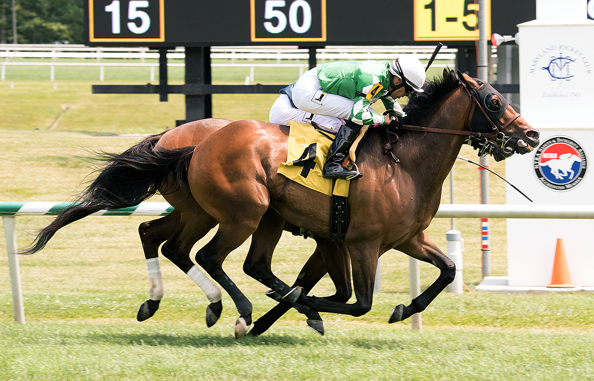 Special Envoy wins the 2017 Edward Evans Stakes