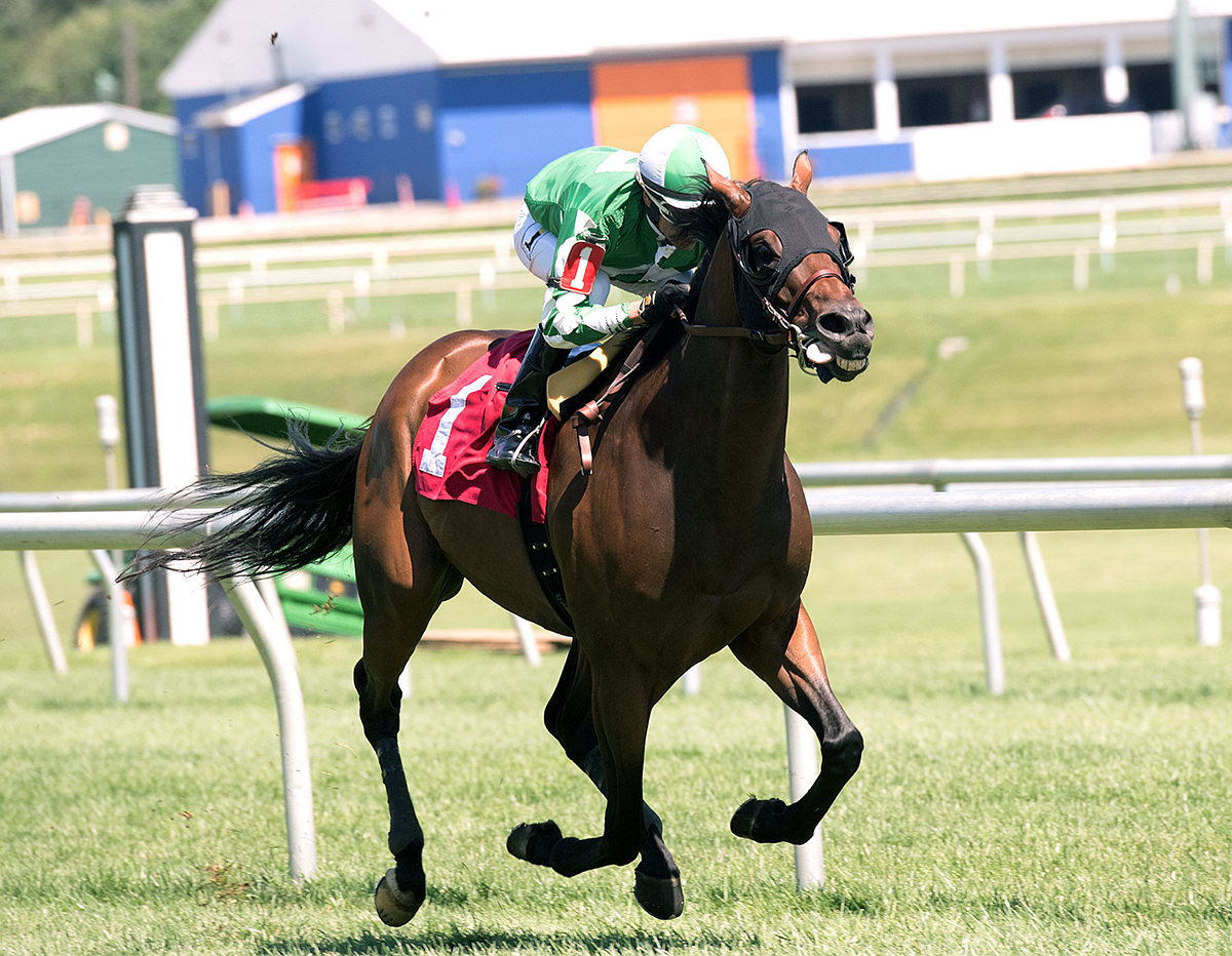 Special Envoy wins the 2017 Hansel Stakes