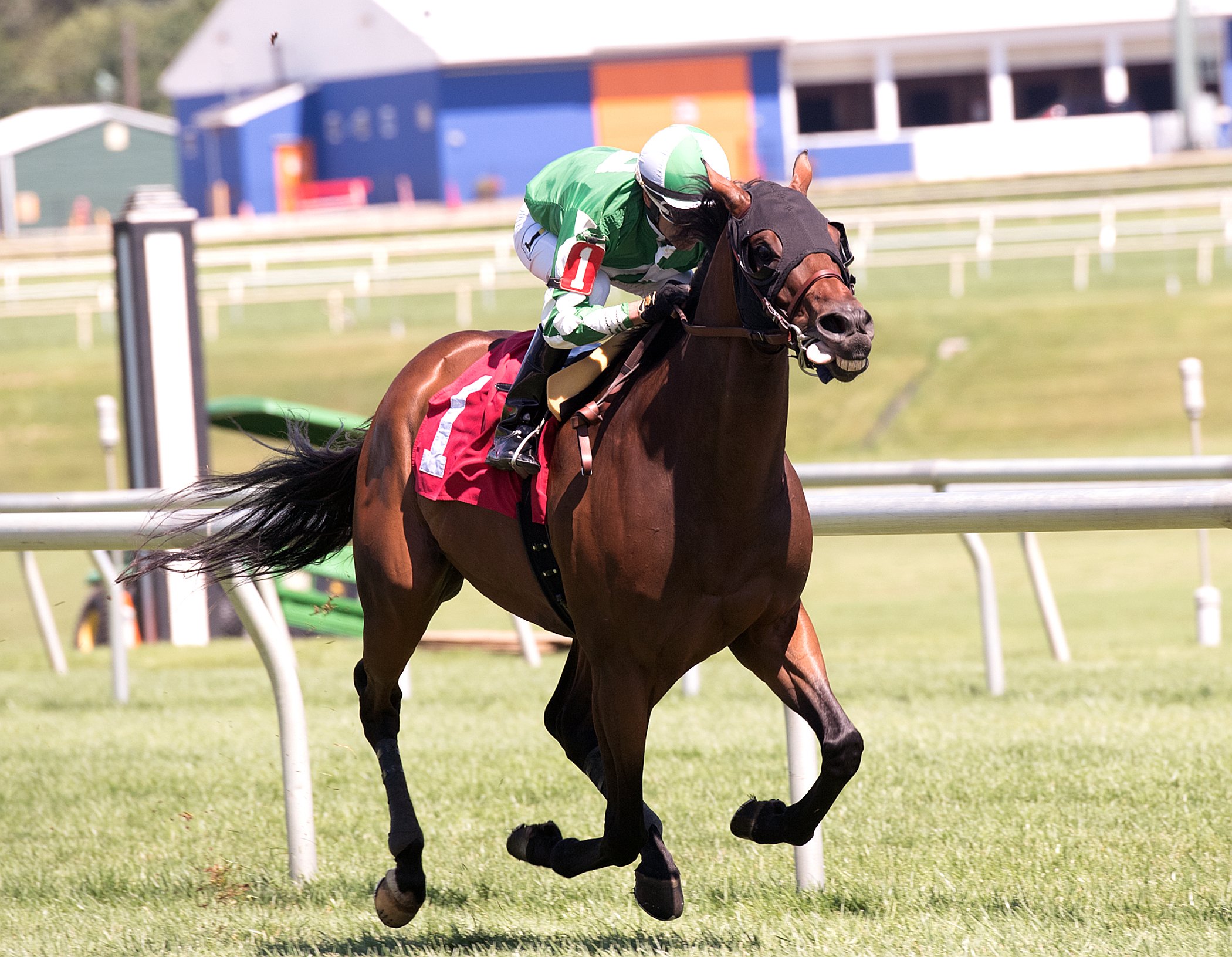 Special Envoy wins the Hansel Stakes at Laurel Park_8.5.17_JMC