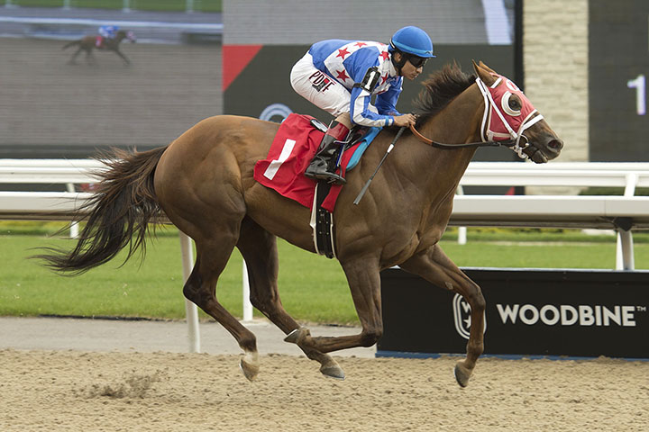 Special Forces wins a May 18 allowance at Woodbine Racetrack